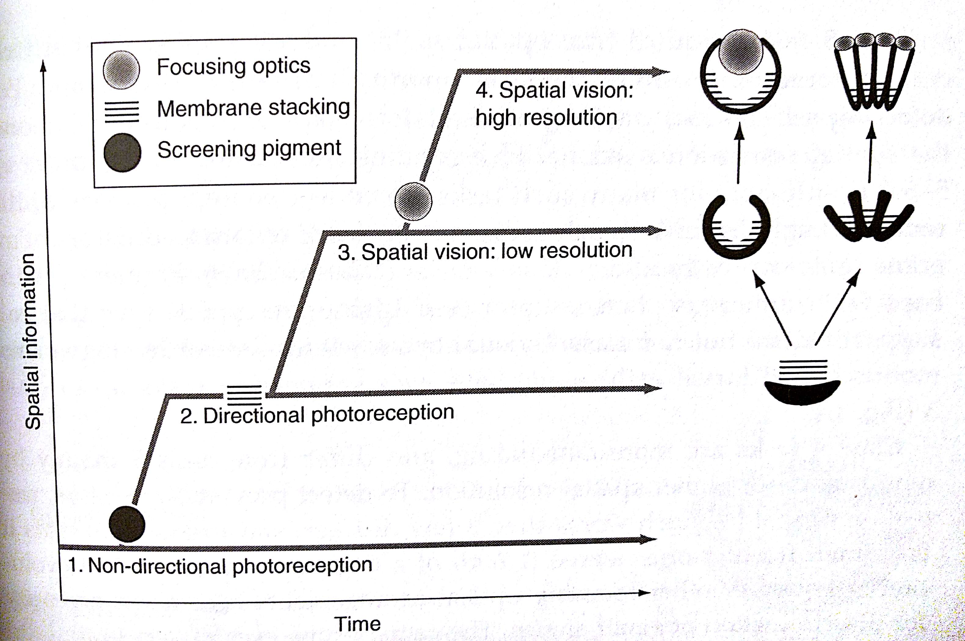 Land2010-Fig1.5.jpg