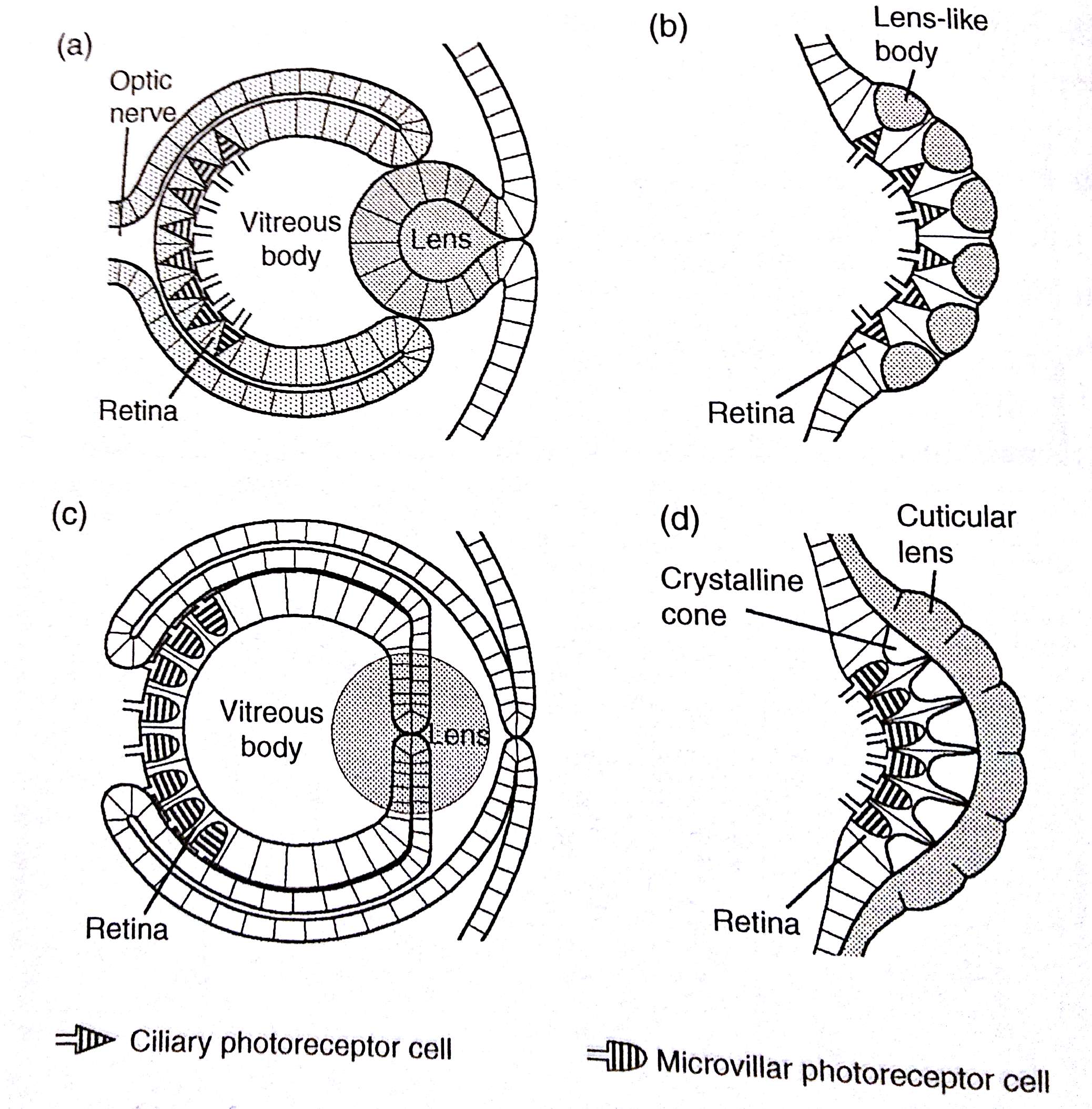 Land2010-Fig1.9.jpg