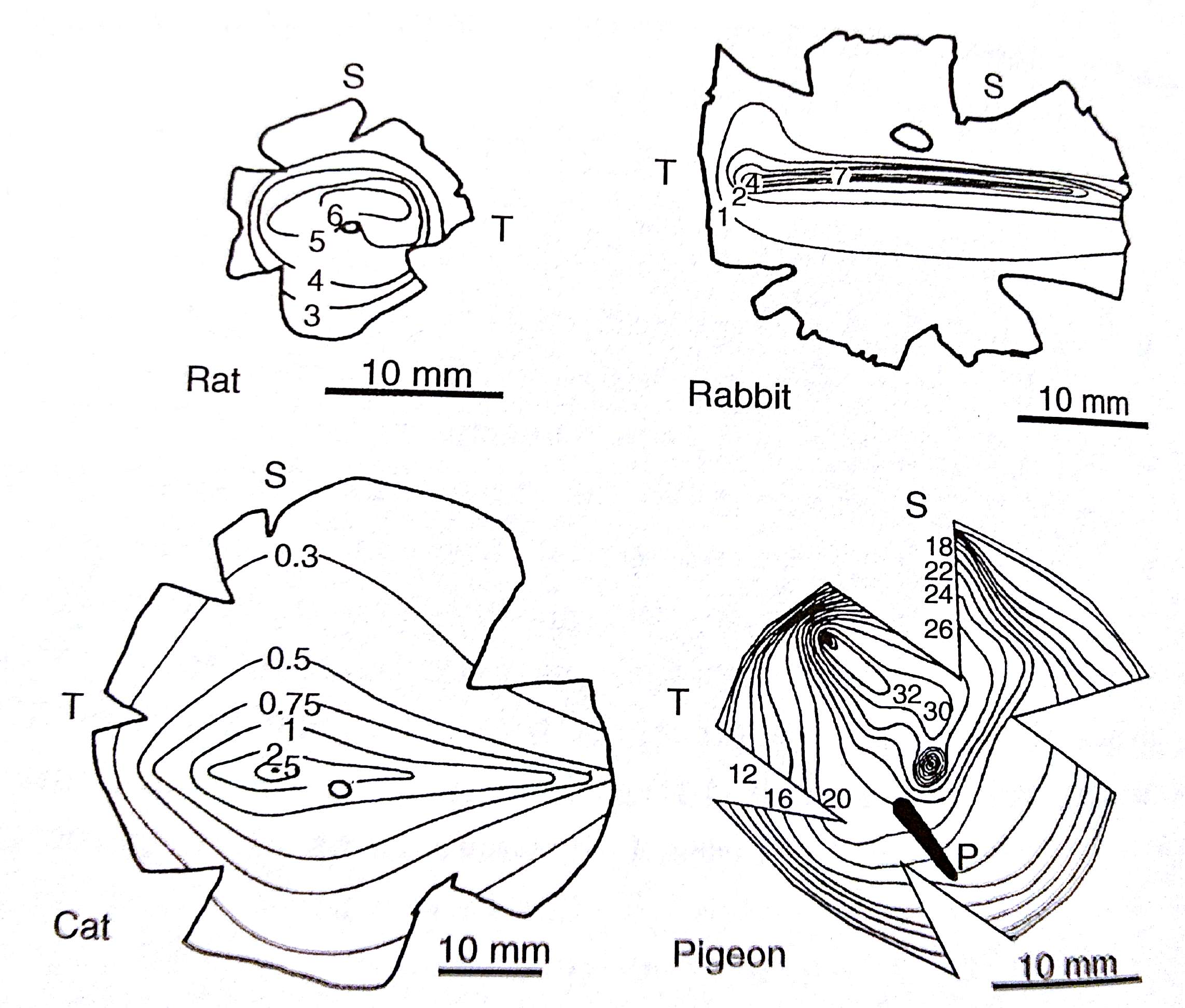 Land2010-Fig5.12.jpg