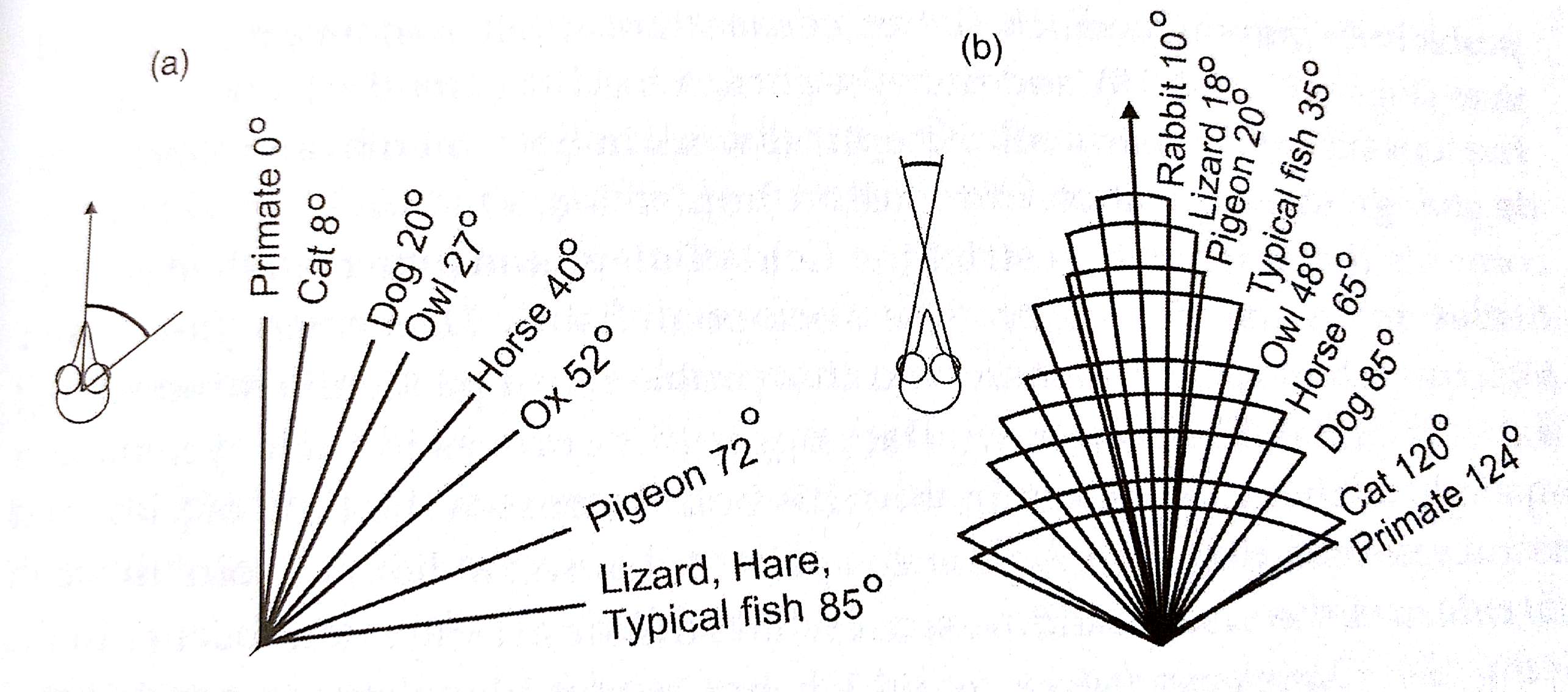 Land2010-Fig5.13.jpg