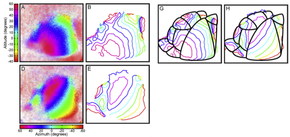 Marshel2011-Fig1.png